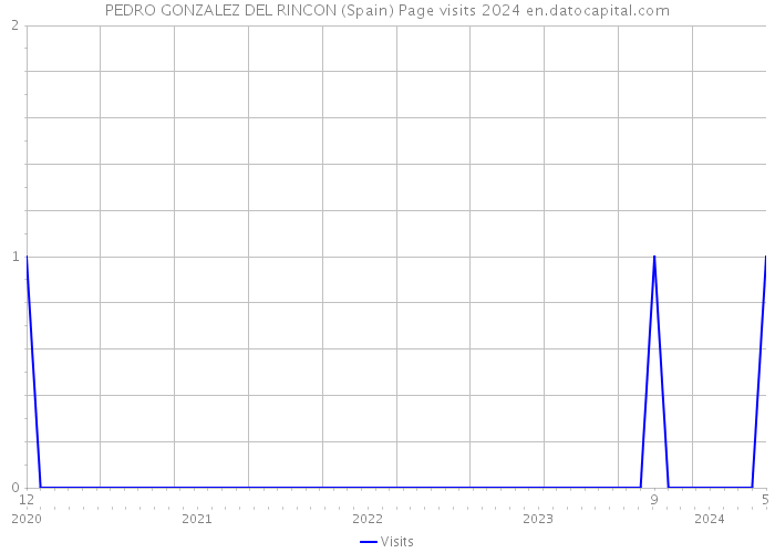 PEDRO GONZALEZ DEL RINCON (Spain) Page visits 2024 