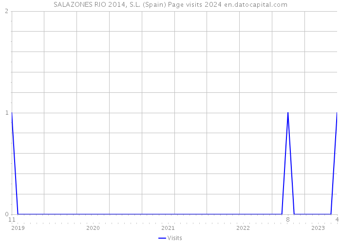 SALAZONES RIO 2014, S.L. (Spain) Page visits 2024 