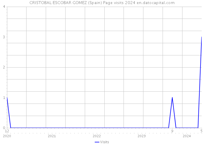 CRISTOBAL ESCOBAR GOMEZ (Spain) Page visits 2024 