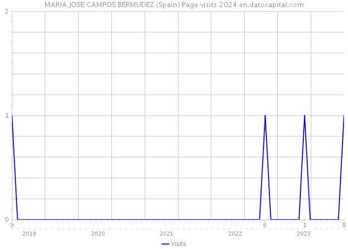 MARIA JOSE CAMPOS BERMUDEZ (Spain) Page visits 2024 