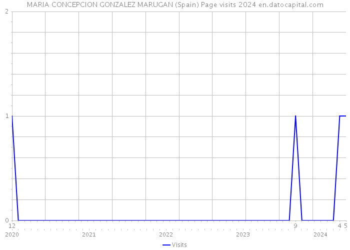 MARIA CONCEPCION GONZALEZ MARUGAN (Spain) Page visits 2024 