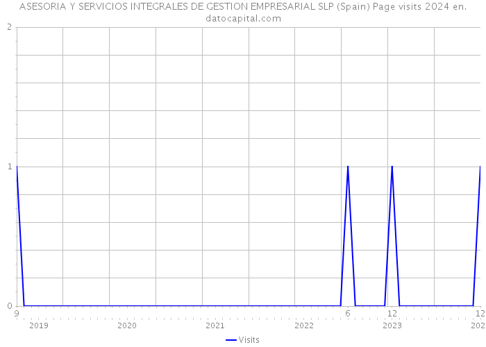 ASESORIA Y SERVICIOS INTEGRALES DE GESTION EMPRESARIAL SLP (Spain) Page visits 2024 