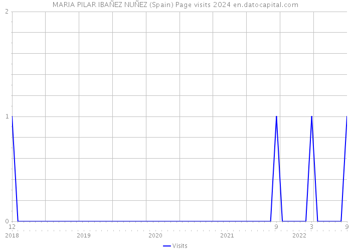 MARIA PILAR IBAÑEZ NUÑEZ (Spain) Page visits 2024 