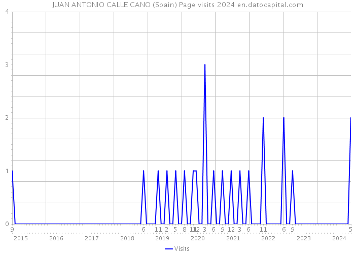 JUAN ANTONIO CALLE CANO (Spain) Page visits 2024 