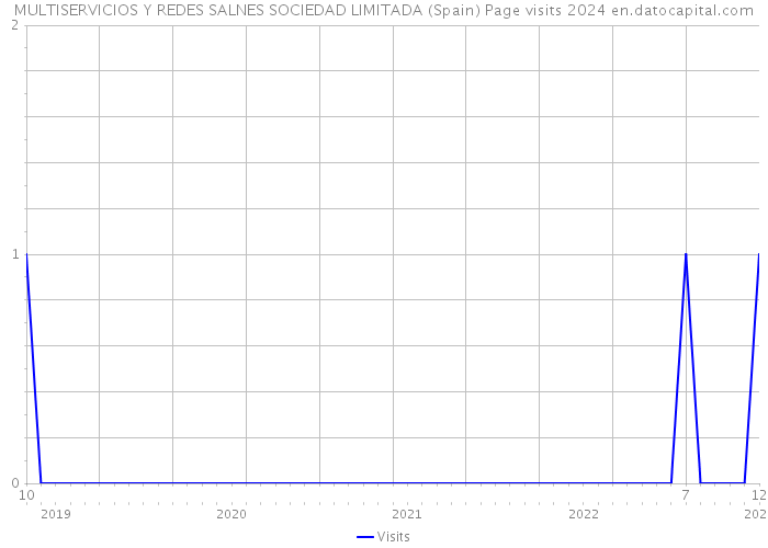 MULTISERVICIOS Y REDES SALNES SOCIEDAD LIMITADA (Spain) Page visits 2024 