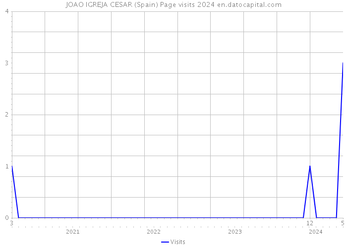 JOAO IGREJA CESAR (Spain) Page visits 2024 