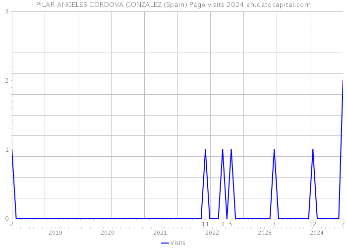 PILAR ANGELES CORDOVA GONZALEZ (Spain) Page visits 2024 