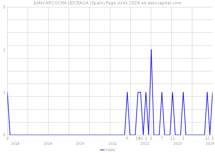 JUAN ARCOCHA LEICEAGA (Spain) Page visits 2024 
