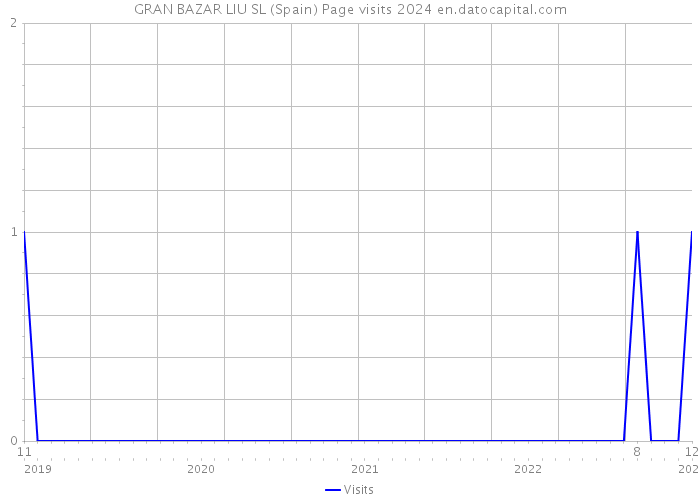 GRAN BAZAR LIU SL (Spain) Page visits 2024 