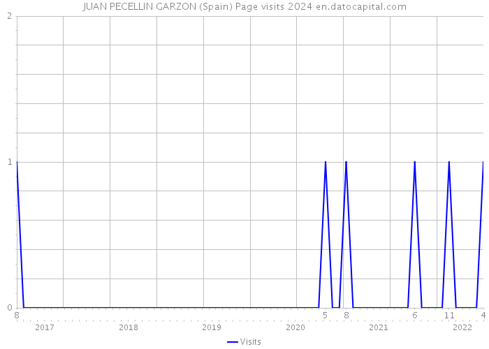 JUAN PECELLIN GARZON (Spain) Page visits 2024 