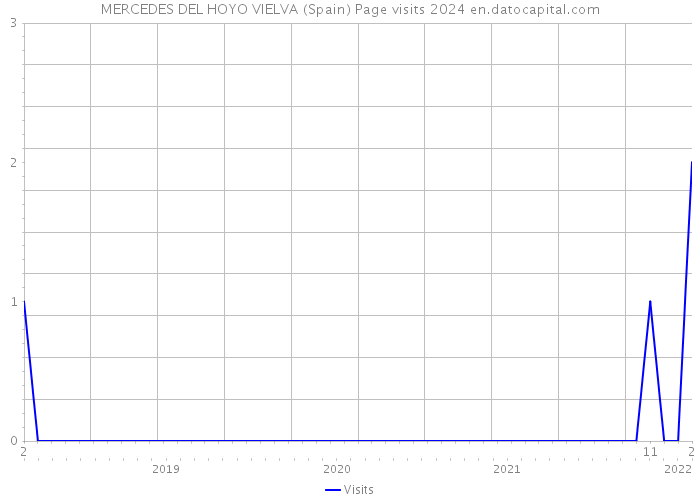 MERCEDES DEL HOYO VIELVA (Spain) Page visits 2024 