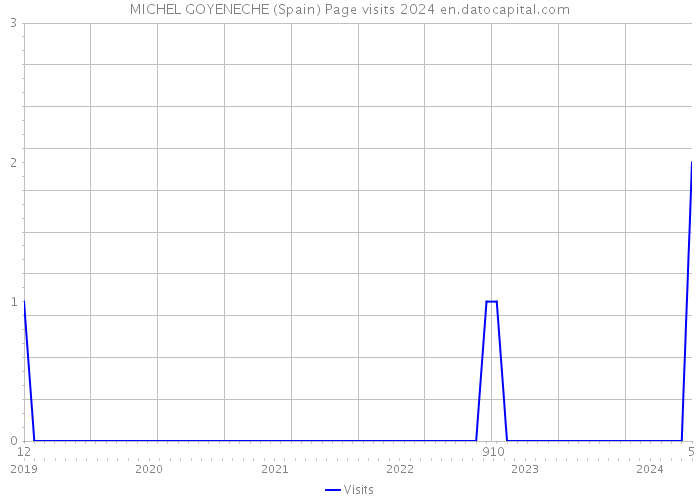 MICHEL GOYENECHE (Spain) Page visits 2024 