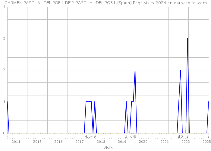 CARMEN PASCUAL DEL POBIL DE Y PASCUAL DEL POBIL (Spain) Page visits 2024 