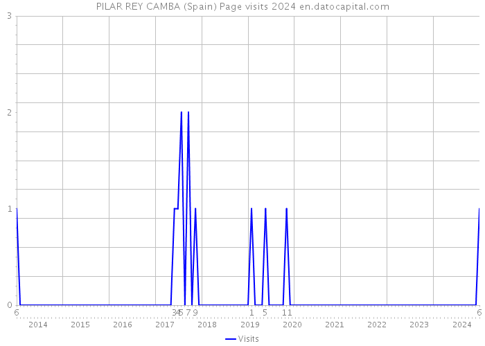 PILAR REY CAMBA (Spain) Page visits 2024 