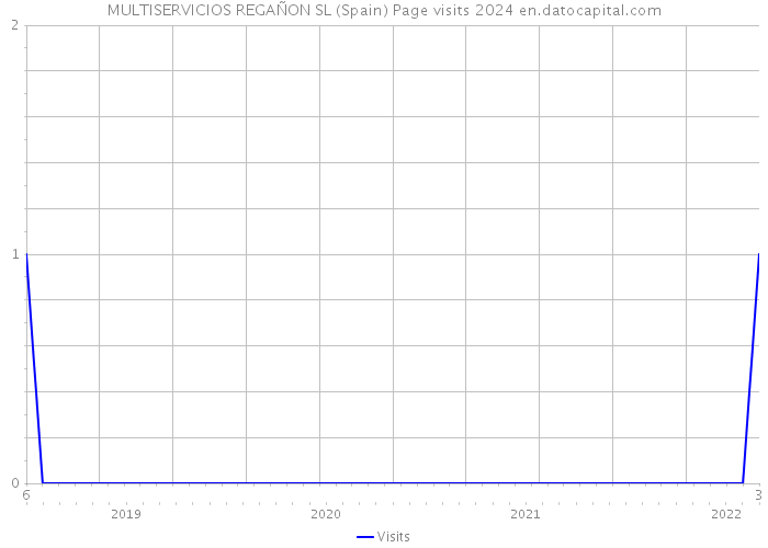 MULTISERVICIOS REGAÑON SL (Spain) Page visits 2024 