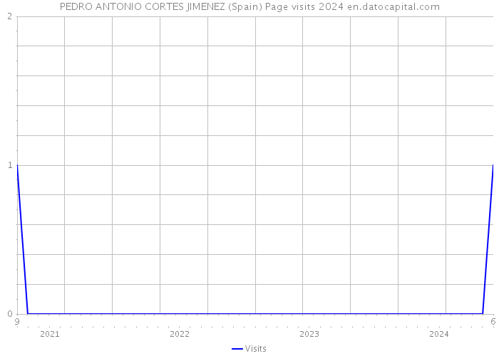 PEDRO ANTONIO CORTES JIMENEZ (Spain) Page visits 2024 