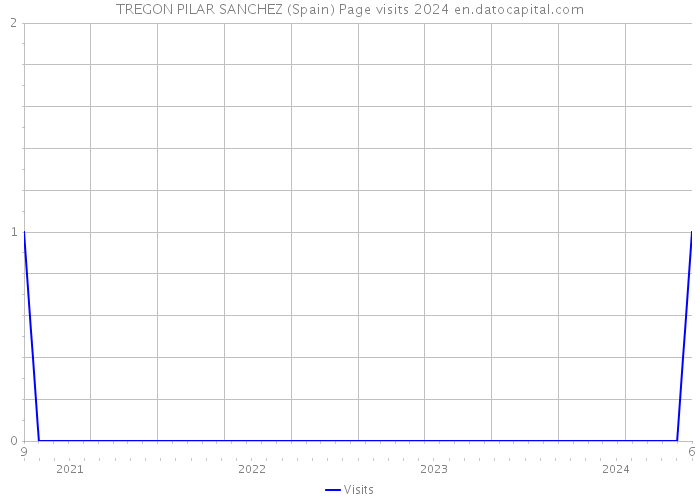 TREGON PILAR SANCHEZ (Spain) Page visits 2024 