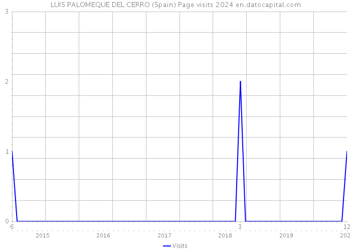 LUIS PALOMEQUE DEL CERRO (Spain) Page visits 2024 