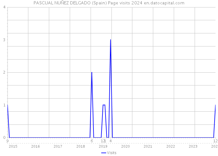 PASCUAL NUÑEZ DELGADO (Spain) Page visits 2024 
