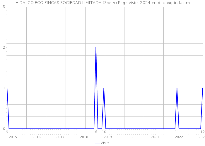 HIDALGO ECO FINCAS SOCIEDAD LIMITADA (Spain) Page visits 2024 