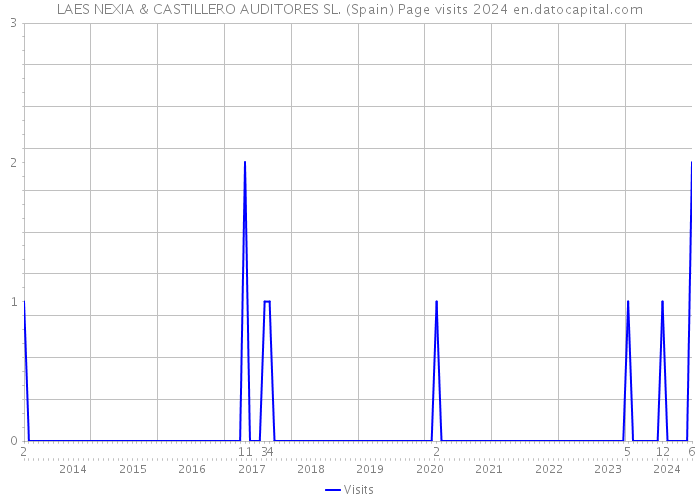 LAES NEXIA & CASTILLERO AUDITORES SL. (Spain) Page visits 2024 