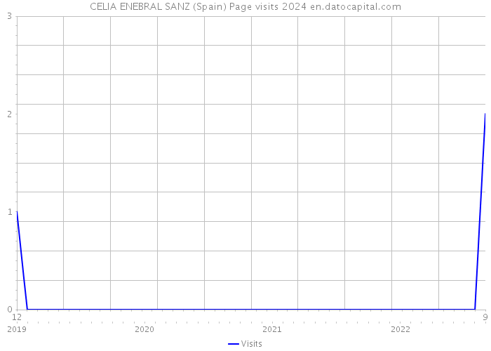 CELIA ENEBRAL SANZ (Spain) Page visits 2024 