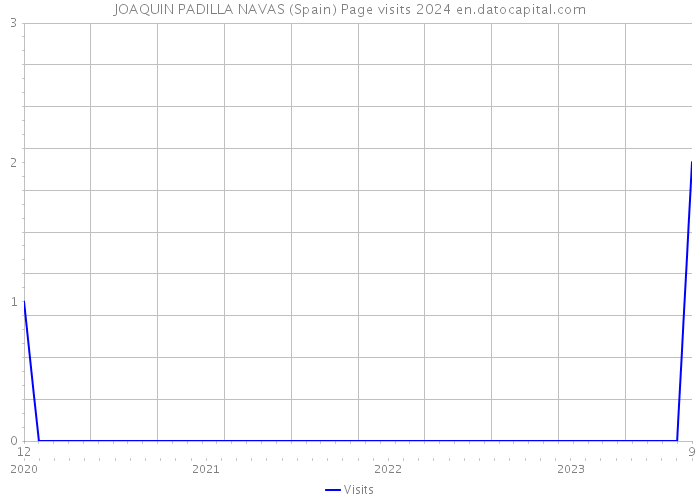 JOAQUIN PADILLA NAVAS (Spain) Page visits 2024 