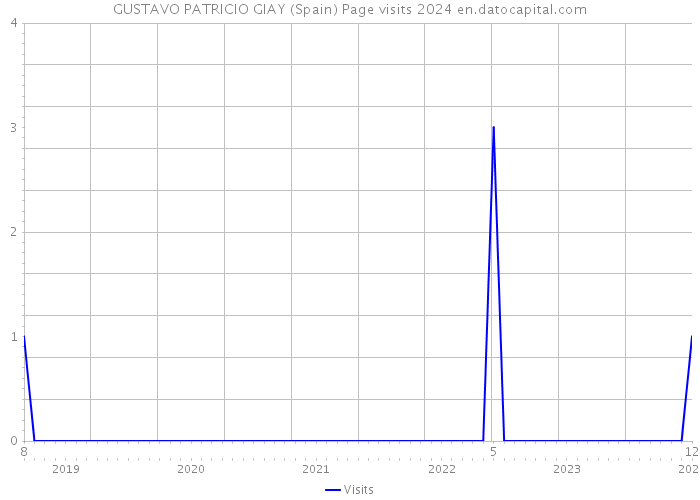 GUSTAVO PATRICIO GIAY (Spain) Page visits 2024 