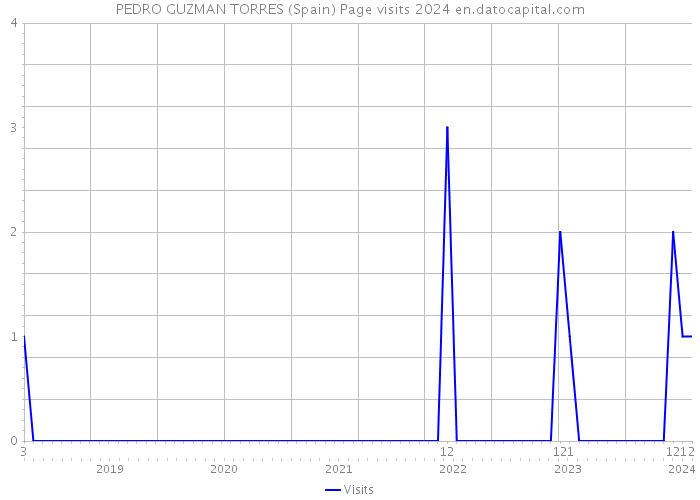 PEDRO GUZMAN TORRES (Spain) Page visits 2024 