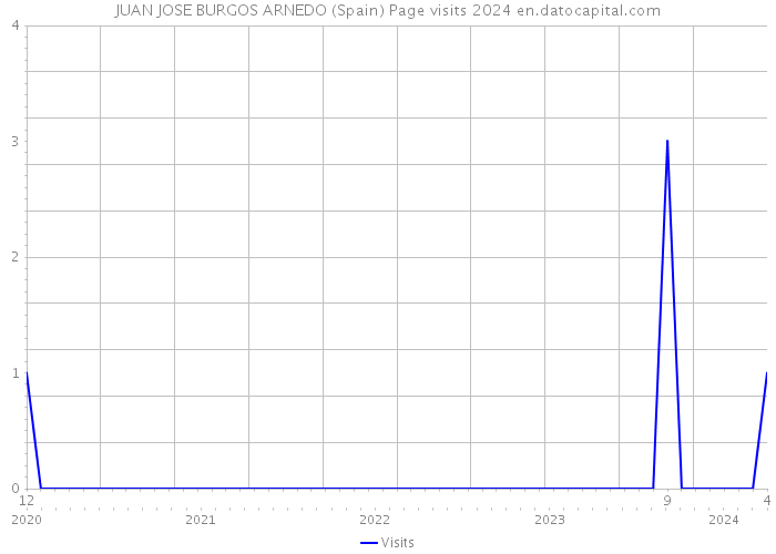 JUAN JOSE BURGOS ARNEDO (Spain) Page visits 2024 