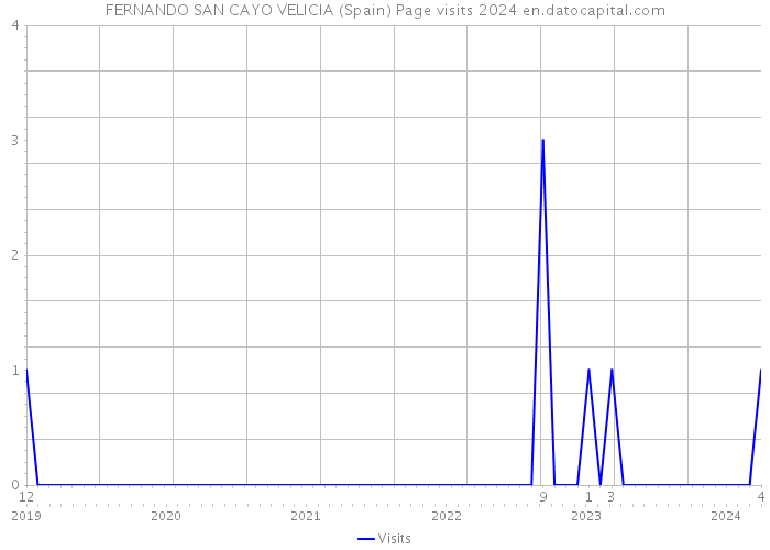 FERNANDO SAN CAYO VELICIA (Spain) Page visits 2024 