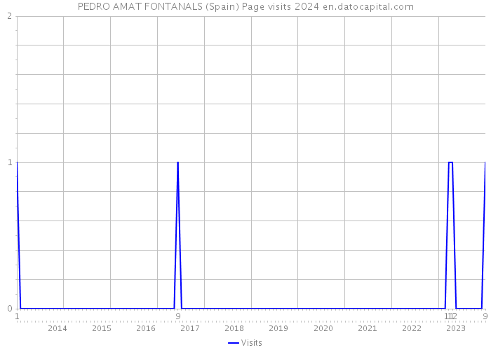 PEDRO AMAT FONTANALS (Spain) Page visits 2024 