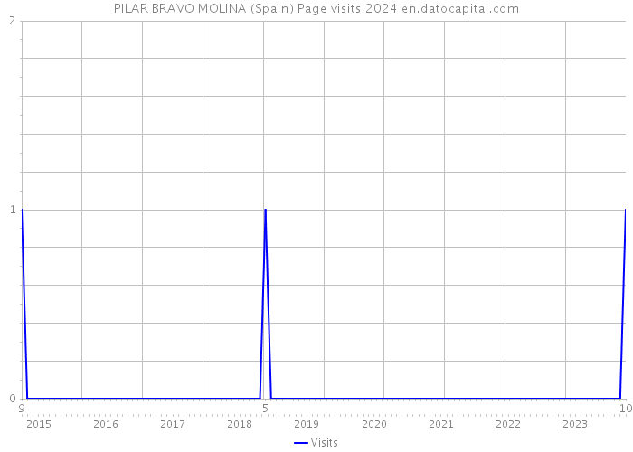 PILAR BRAVO MOLINA (Spain) Page visits 2024 
