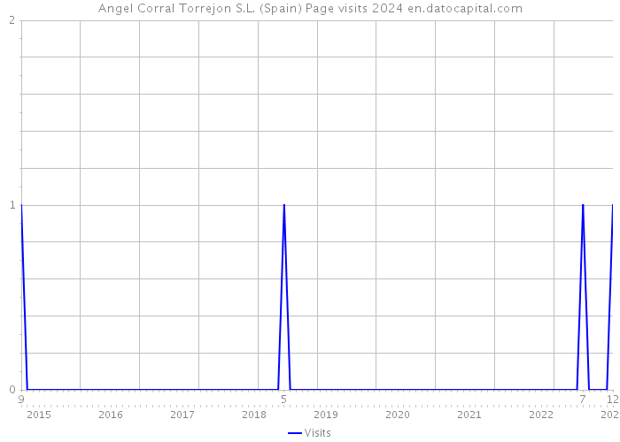 Angel Corral Torrejon S.L. (Spain) Page visits 2024 