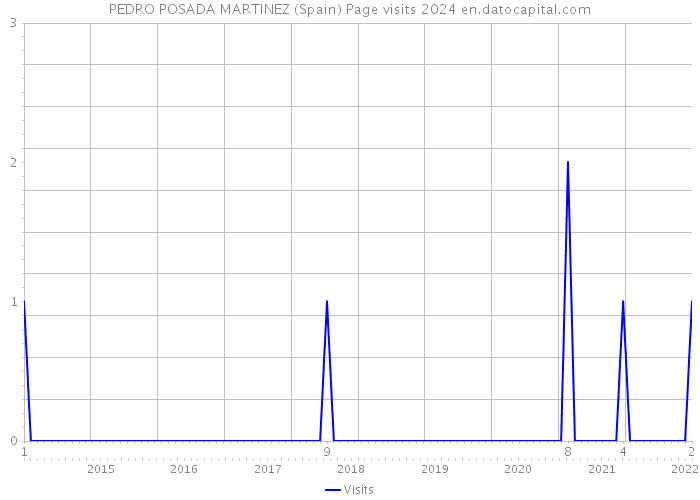 PEDRO POSADA MARTINEZ (Spain) Page visits 2024 