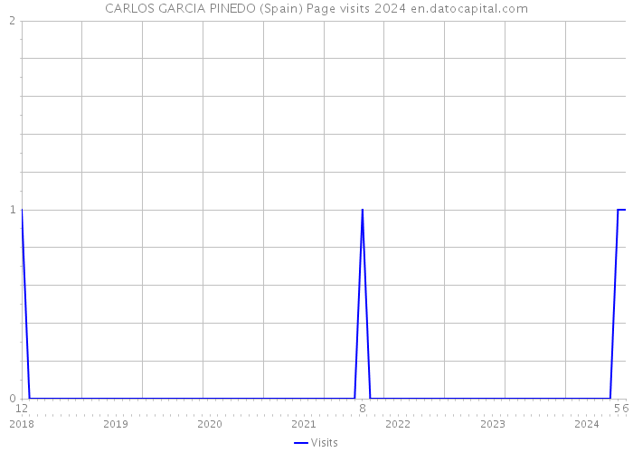 CARLOS GARCIA PINEDO (Spain) Page visits 2024 