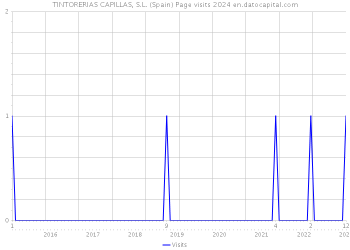 TINTORERIAS CAPILLAS, S.L. (Spain) Page visits 2024 