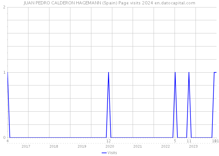 JUAN PEDRO CALDERON HAGEMANN (Spain) Page visits 2024 