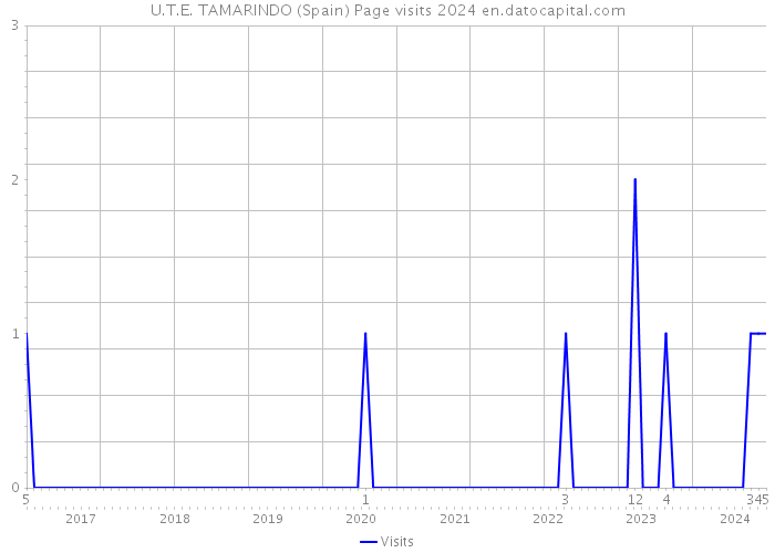 U.T.E. TAMARINDO (Spain) Page visits 2024 