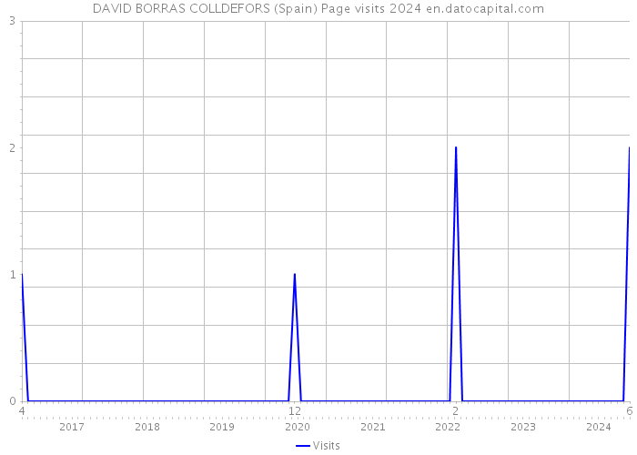 DAVID BORRAS COLLDEFORS (Spain) Page visits 2024 