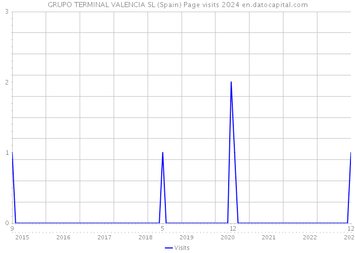 GRUPO TERMINAL VALENCIA SL (Spain) Page visits 2024 