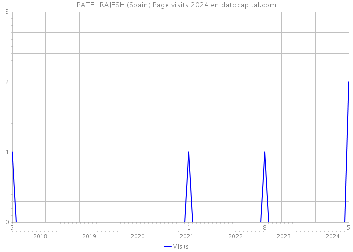 PATEL RAJESH (Spain) Page visits 2024 