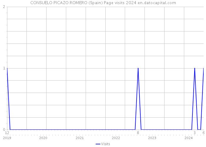 CONSUELO PICAZO ROMERO (Spain) Page visits 2024 