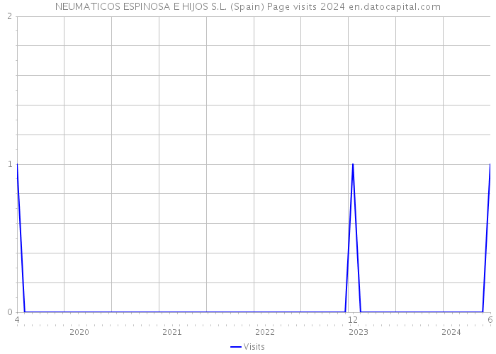 NEUMATICOS ESPINOSA E HIJOS S.L. (Spain) Page visits 2024 