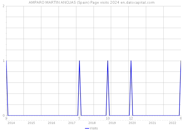 AMPARO MARTIN ANGUAS (Spain) Page visits 2024 