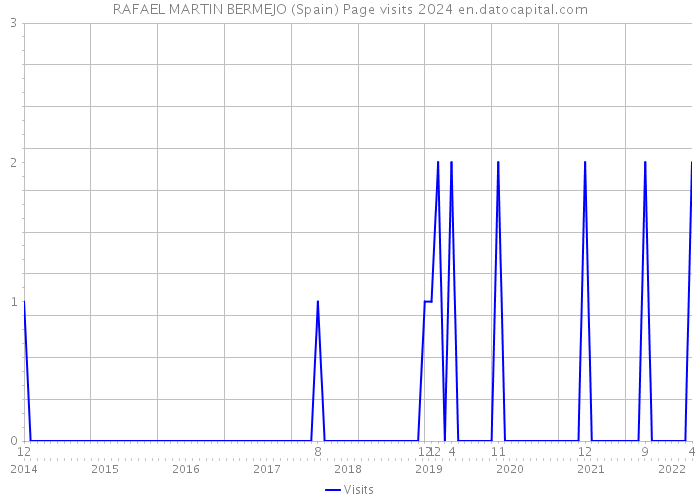 RAFAEL MARTIN BERMEJO (Spain) Page visits 2024 