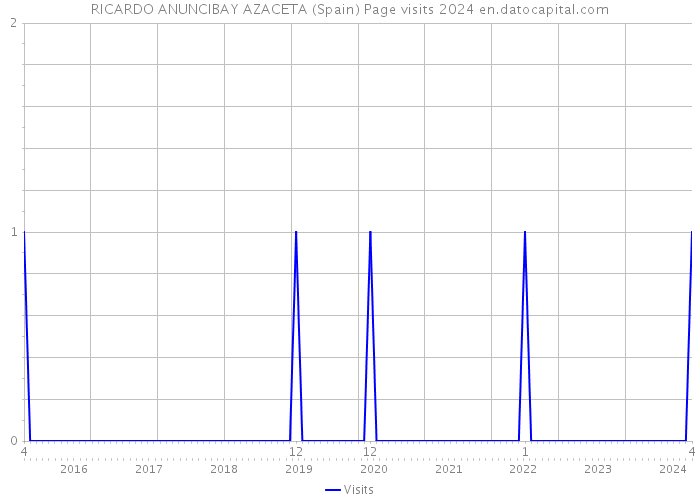 RICARDO ANUNCIBAY AZACETA (Spain) Page visits 2024 