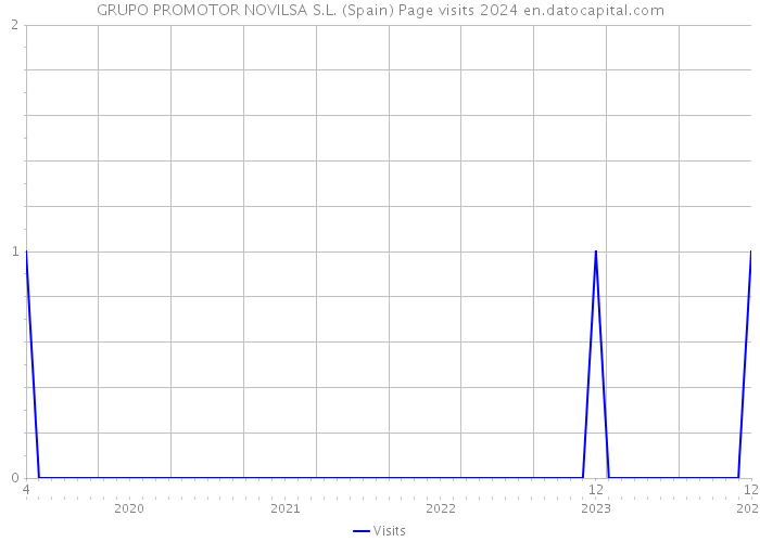 GRUPO PROMOTOR NOVILSA S.L. (Spain) Page visits 2024 