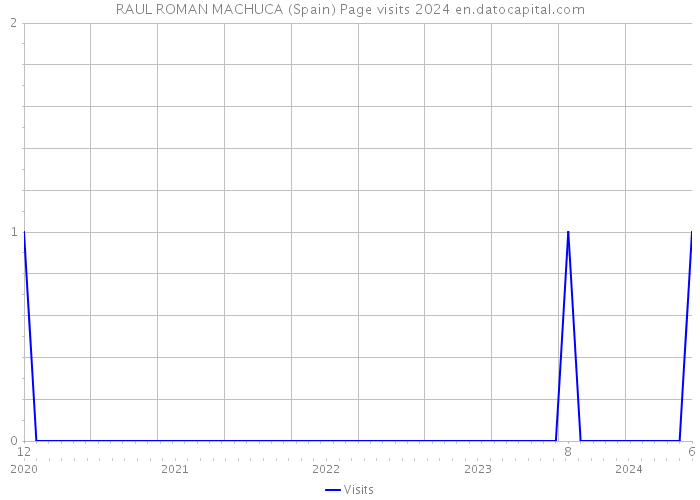 RAUL ROMAN MACHUCA (Spain) Page visits 2024 