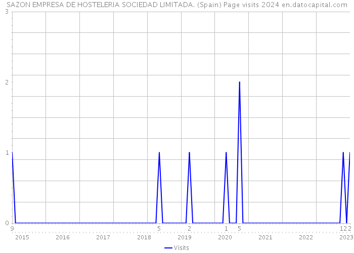 SAZON EMPRESA DE HOSTELERIA SOCIEDAD LIMITADA. (Spain) Page visits 2024 